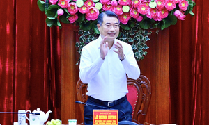 Thủ tướng: Vĩnh Long phải xác lập mô hình tăng trưởng mới để đạt mục tiêu '2 con số'