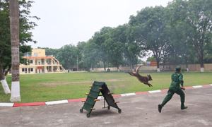 Sinh viên Báo chí 'mục sở thị' thao trường, ấn tượng kỷ luật thép của chiến sĩ Biên phòng