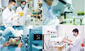 GS Nguyễn Đình Đức: Không thể tự chủ chiến lược quốc gia nếu không có khoa học cơ bản mạnh