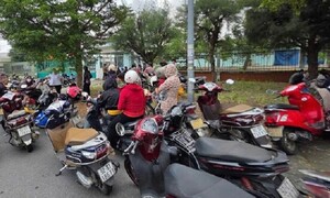 Gần 2.500 đơn vị trốn đóng bảo hiểm ở Đà Nẵng