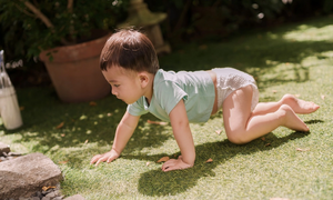 Cách chọn bỉm quần đúng cho bé đang tập đi