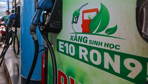 Xăng sinh học E10 khác gì xăng khoáng RON95?