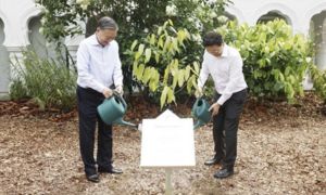 Tổng Bí thư, Chủ tịch nước Tô Lâm trồng cây lưu niệm tại Vườn Bách thảo Singapore