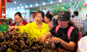 Chen chân trải nghiệm lễ hội trái cây lớn nhất mùa hè tại TP.HCM