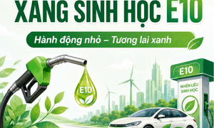 Bộ Công Thương công bố Cẩm nang sử dụng xăng E10 