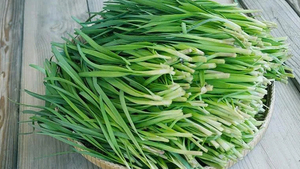 Những tác dụng của lá hẹ với sức khỏe ít người biết