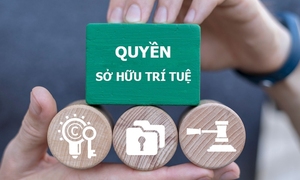 Ba tuần cao điểm chống xâm phạm sở hữu trí tuệ: Xử phạt 12,6 tỷ đồng