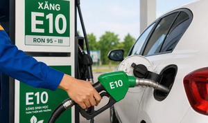 Xăng E10 bắt đầu thay thế xăng khoáng, bán đại trà toàn quốc từ hôm nay