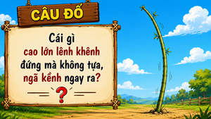 Cái gì cao lớn lênh khênh đứng mà không tựa, ngã kềnh ngay ra? 