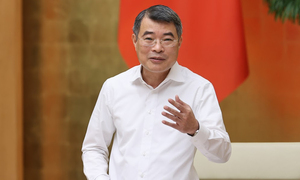 Thủ tướng: Chủ động kịch bản ứng phó, xây dựng 'tấm đệm giảm sốc' cho nền kinh tế