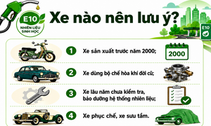 Loại xe nào không tương thích với xăng E10?