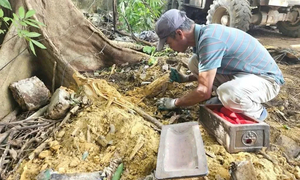 Phát hiện gần 40 hài cốt thai nhi khi mở rộng đường ở Ninh Bình