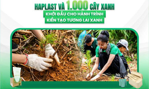 Haplast và 1.000 cây xanh: Khởi đầu cho hành trình kiến tạo tương lai xanh
