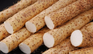 Tác dụng của củ mài tươi với sức khỏe