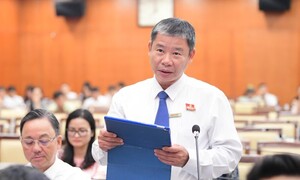 Đại biểu HĐND TP.HCM đề xuất xây đài tưởng niệm liệt sĩ ở công viên Lê Thị Riêng