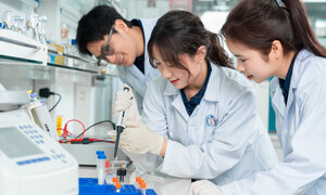 Một đại học Việt Nam vươn lên nhóm 401-600 trường có tầm ảnh hưởng nhất thế giới