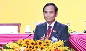 Bí thư Thành ủy Trần Lưu Quang làm Trưởng Ban Nghiên cứu phát triển TP.HCM