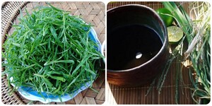 Cỏ mần trầu nấu nước uống có tác dụng gì?