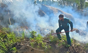 Phát hiện thi thể người đàn ông sau khi dập tắt đám cháy rừng ở Đà Nẵng