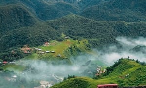 Sa Pa mùa lúa xanh: Chiêm ngưỡng 'tấm thảm xanh' mướt mắt giữa đại ngàn