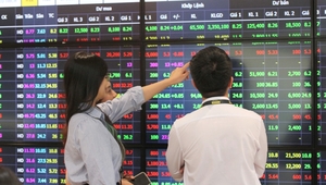 Thu nhập giảm kỷ lục, môi giới chứng khoán 'khóc ròng'