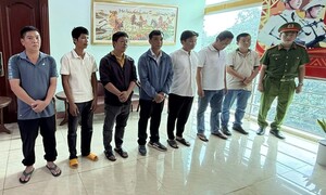 Khởi tố 8 bị can đưa, nhận hối lộ để cấp khống giấy kiểm dịch động vật ở Đắk Lắk