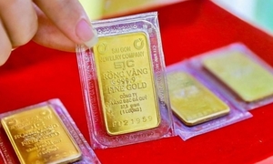 1 chỉ vàng 9999 PNJ hôm nay 15/7/2026 giá bao nhiêu?