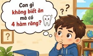 Con gì không biết ăn mà có 4 hàm răng?