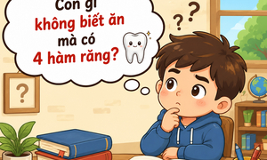 Con gì không biết ăn mà có 4 hàm răng?
