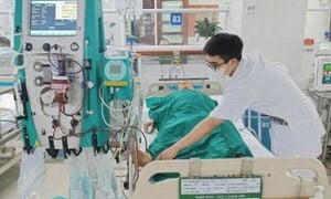 Ăn mật cá trắm, cụ ông suýt mất mạng phải lọc máu 