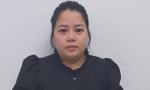'Nữ quái' dựng kịch bản lừa góp vốn kinh doanh, chiếm đoạt hơn 10 tỷ đồng