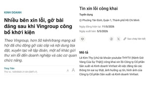 Toà án Canada: Vingroup đủ cơ sở để tiếp tục kiện Phương Ngô