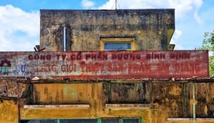 Nhà máy mía đường Bình Định gỉ sét, mục nát sau hơn 7 năm bỏ hoang