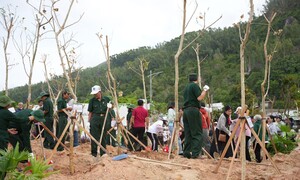 Phú Gia hiện thực hóa tầm nhìn 'dịch chuyển tọa độ sống' tại Quy Nhơn