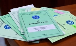 Trốn đóng bảo hiểm xã hội bắt buộc sắp bị phạt thế nào?