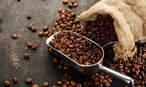 Giá cà phê hôm nay: Robusta tăng nhẹ, Arabica giảm sâu