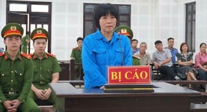 Người mẹ sát hại con để trục lợi hơn 4 tỷ đồng tiền bảo hiểm lĩnh án chung thân