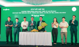 Công nghệ mới hỗ trợ nông dân bảo vệ bộ rễ cây trồng