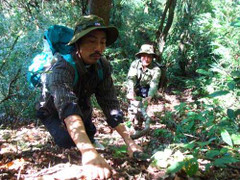 Lương y nổi danh tặng miễn phí thuốc chữa khỏi dạ dày cho người bệnh khắp cả nước