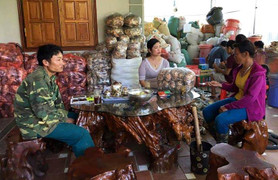 Sắp bị cưa chân vì viêm khớp nặng, bỗng được chữa khỏi ngoạn mục