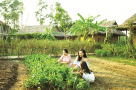 Khám phá điểm nghỉ dưỡng nâng tầm cuộc sống dành cho người cao tuổi