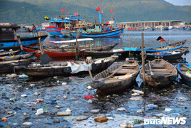 Ảnh: Rác thải nổi lềnh bềnh, bốc mùi hôi thối nồng nặc ở âu thuyền lớn nhất miền Trung