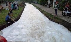 Khuyến cáo người dân không thả trâu bò gần con kênh nổi bọt trắng xóa ở Quảng Nam