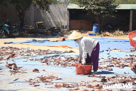 Những chuyến vươn khơi chan đầy nước mắt của ngư dân miền Trung