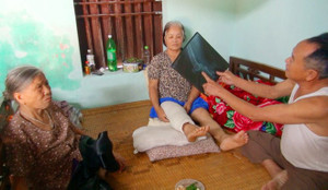 Đàn trâu 'điên' lao vào làng quê, húc 15 người bị thương