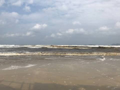 Bãi tắm ở Quảng Ngãi nhuốm đen bất thường