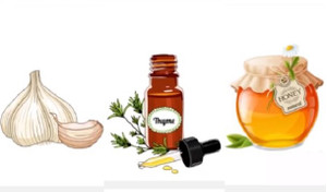 3 loại 'kháng sinh' hiệu quả trong tự nhiên