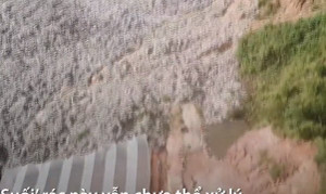 Nông dân Đà Lạt 'trắng tay' khi núi rác Cam Ly sụp đổ