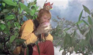 Nhân sâm, đào tiên trường sinh bất lão trong ‘Tây du ký' và những sự thật bất ngờ