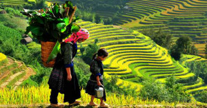 Sắp có công viên Disneylandở Sapa